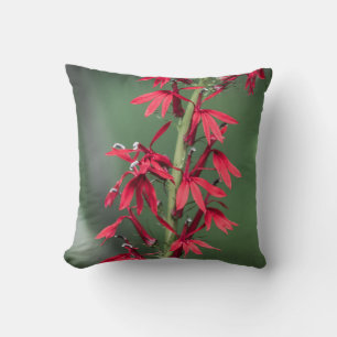 Roter Kardinal Blume Kissen