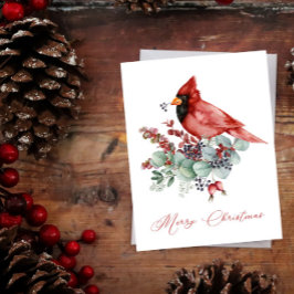 Roter Kardinal, Eukalyptus, Grüne Weihnachten