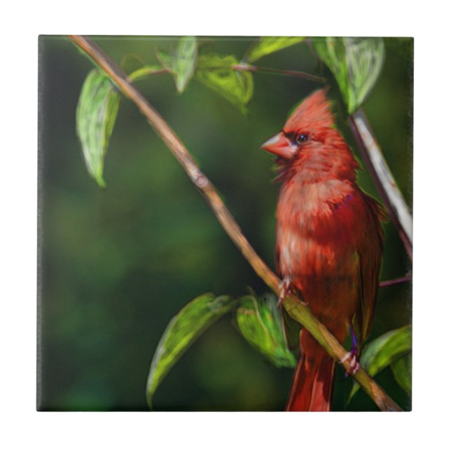 Roter Kardinal Fliese (Vorderseite)