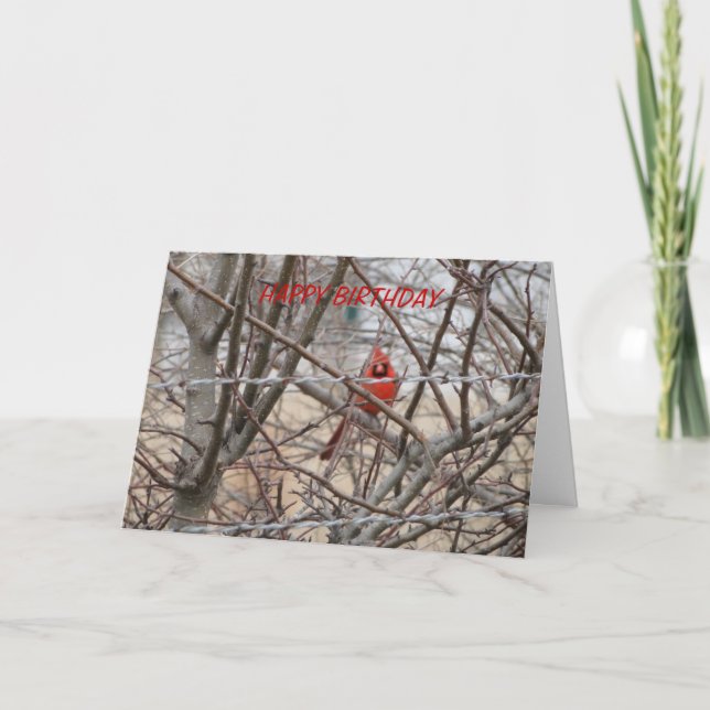 Roter Kardinal, Geburtstag Ließ It Shine Karte (Vorderseite)