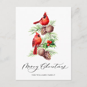 Roter Kardinal Holly Berry Weihnachtsfeiertag Postkarte