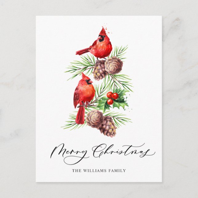 Roter Kardinal Holly Berry Weihnachtsfeiertag Postkarte (Vorderseite)