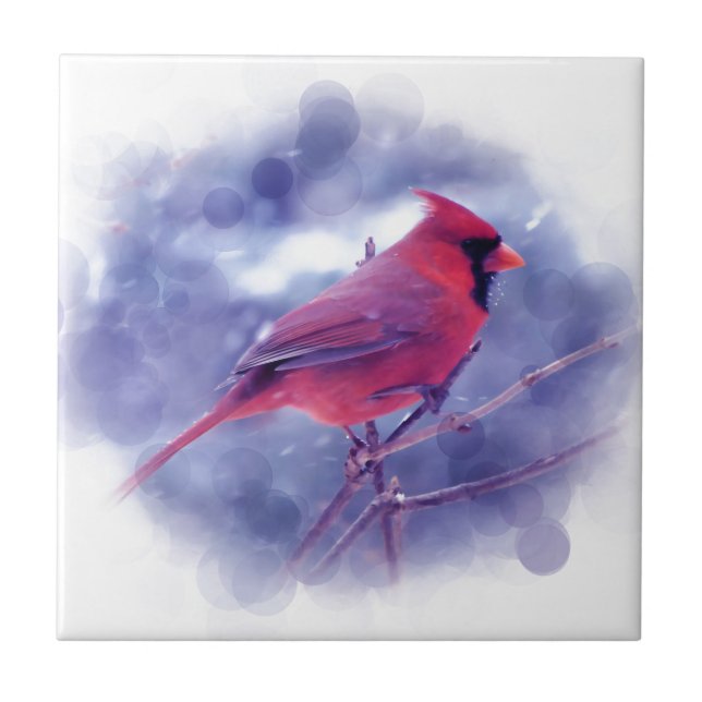 Roter Kardinal im Blizzard Fliese (Vorderseite)