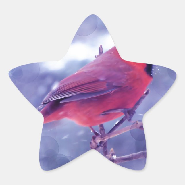 Roter Kardinal im Blizzard Stern-Aufkleber (Vorderseite)