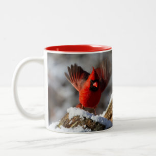 Roter Kardinal im Schnee Zweifarbige Tasse