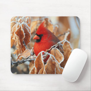 Roter Kardinal in frostigen Herbstblättern Mousepad
