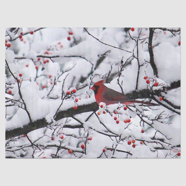 Roter Kardinal Schneebaum Foto Seidenpapier (Vorderseite)