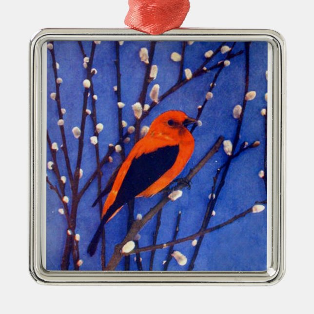 Roter Kardinal Silbernes Ornament (Vorne)