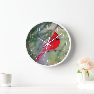 Roter Kardinal Sitzstange Uhr