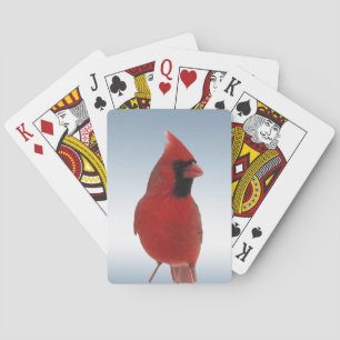 Roter Kardinal-Vogelspielkarten Spielkarten
