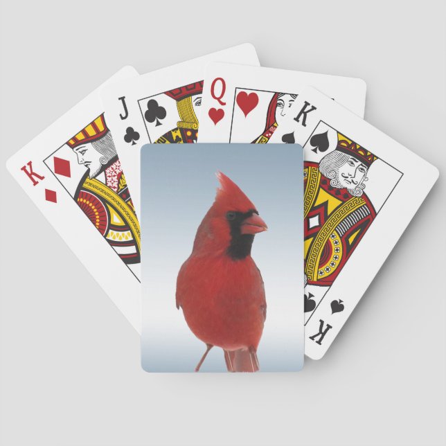 Roter Kardinal-Vogelspielkarten Spielkarten (Rückseite)