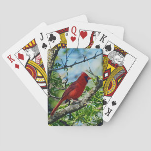Roter Kardinal Wild Bird Spielkarten