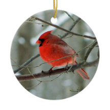 Roter Kardinal Winterschmuck
