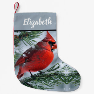 Roter Kardinal Winterschnee Pine Weihnachtsbaum Na Kleiner Weihnachtsstrumpf