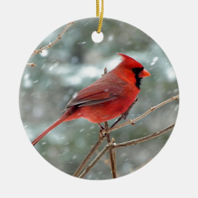 Roter Kardinals-Vogel im Schnee-Winter Keramikornament (Vorne)