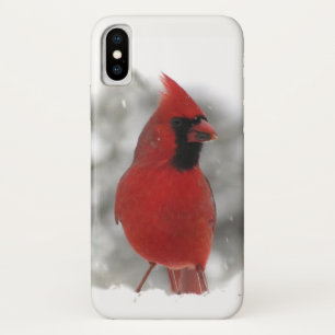 Roter Kardinals-Vogel iPhone X Kasten title_seo2