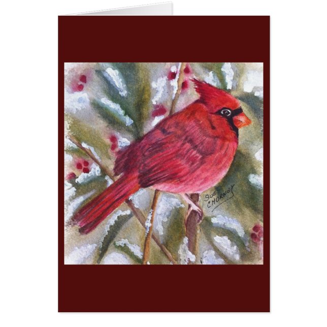 ROTER KARDINALSPECIAL (Vorne)