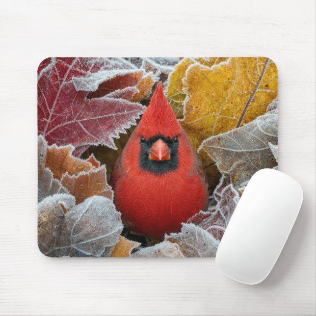 Roter Kardinalvogel in frostigen Herbstblättern Mousepad (Mit Mouse)
