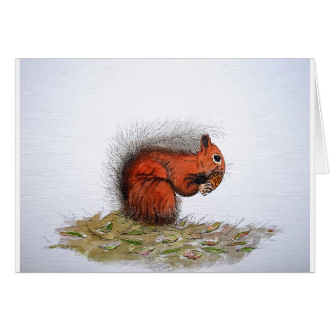Roter Kiefer (Vorderseite (Horizontal))