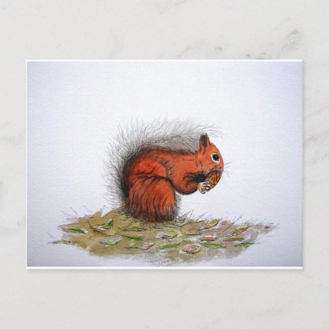 Roter Kiefer Postkarte (Vorderseite)