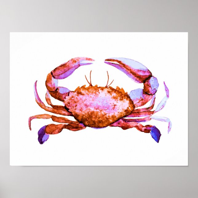 Roter Krebs Aquarelldruck Poster (Vorne)