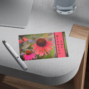 Roter Krebs Blume Echinacea Vermisst Sie Postkarte