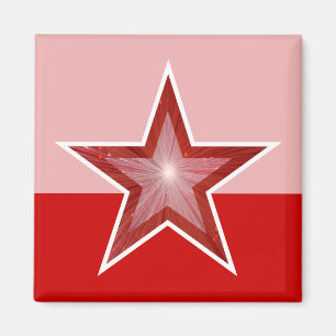 Roter Kühlschrankmagnet