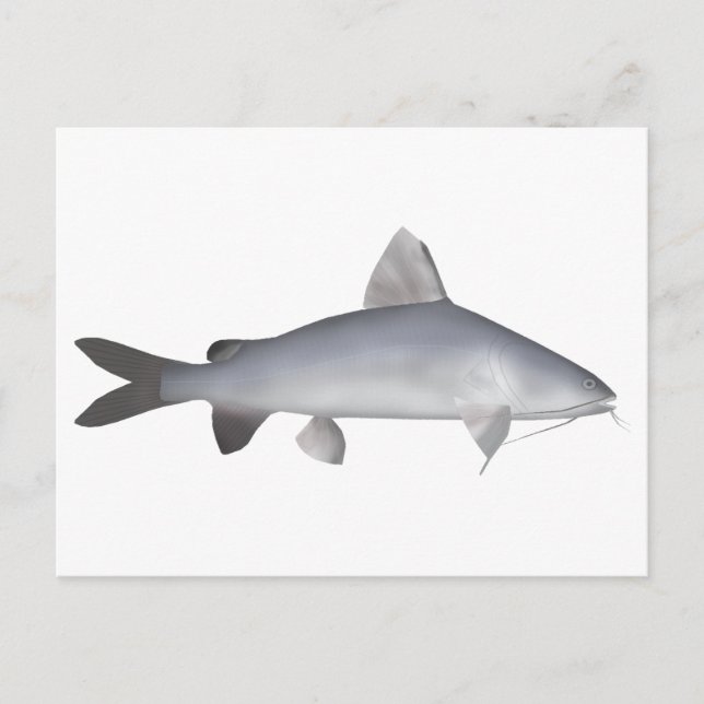 Roter Lachs Postkarte (Vorderseite)