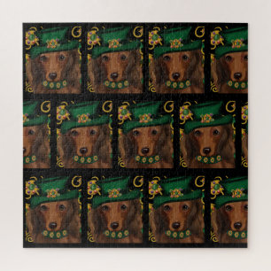 Roter Langhaar-Dachshund