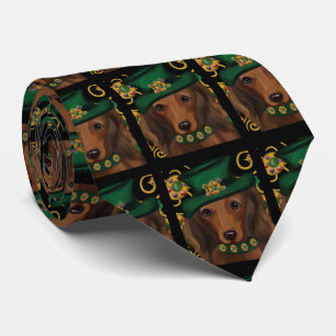 Roter Langhaar-Dachshund Krawatte