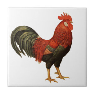 Roter Leghorn-Hahn Fliese