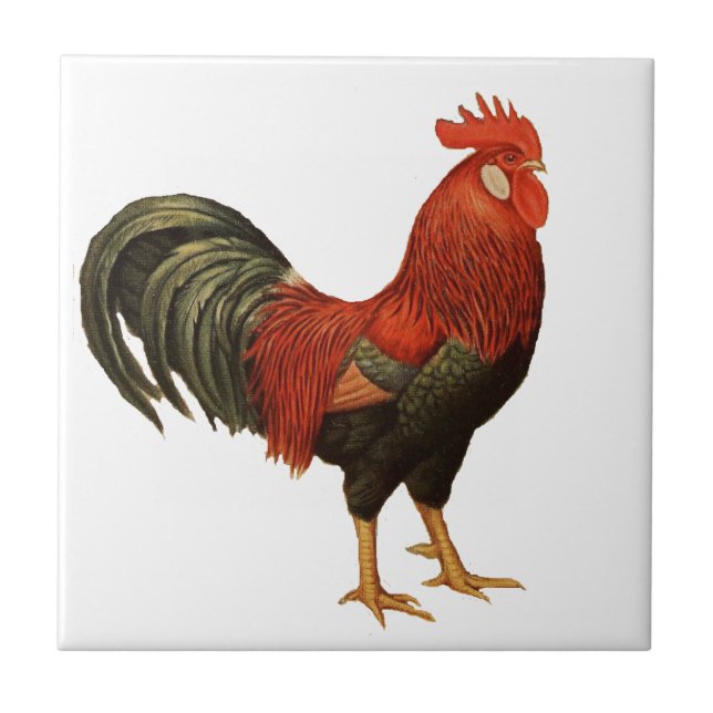 Roter Leghorn-Hahn Fliese (Vorderseite)