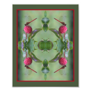 Roter Libelle auf Hundsholz Abstrakt 8x10 Fotodruck