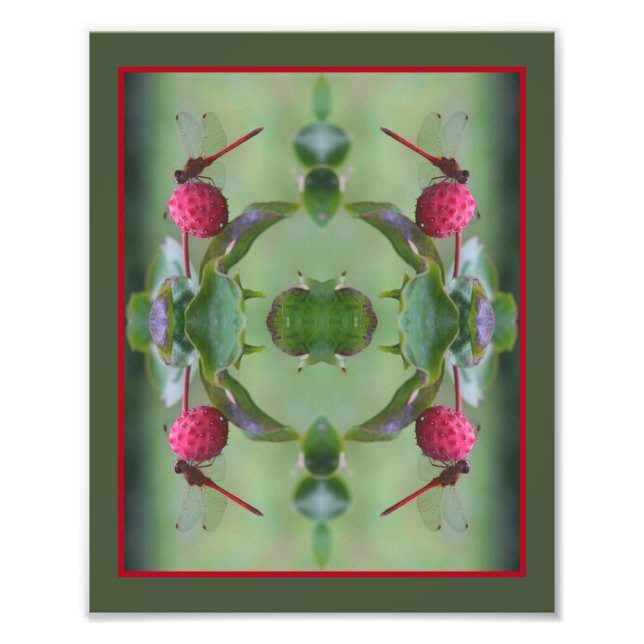 Roter Libelle auf Hundsholz Abstrakt 8x10 Fotodruck (Vorne)