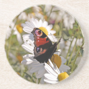 Roter Lila Schwarzschmetterling auf der Tagesordnu Sandstein Untersetzer