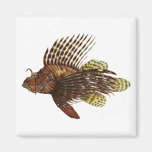 Roter Lionfish-Vintager Druck Magnet