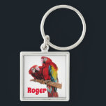 Roter Macaw Papagei Papageien Wasserfarben Schlüss Schlüsselanhänger<br><div class="desc">Bright Red Macaw Parrots Watercolor Art Key Ring,  mit einem vollständig anpassbaren Namen. Dieser prächtige Schlüsselring wäre ein großartiges Geschenk für jeden. Entworfen von mir aus einer meiner ursprünglichen makaw Aquarellfarben. Besonders lieblich,  so ein nützliches,  helles und glückliches Geschenk zu haben!</div>