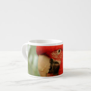 Roter Mackaw Papagei Espressotasse