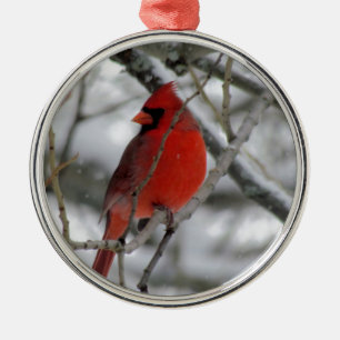 Roter männlicher Kardinal im Winter Silbernes Ornament