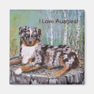 Roter Merle Australier - schöne Blume Magnet