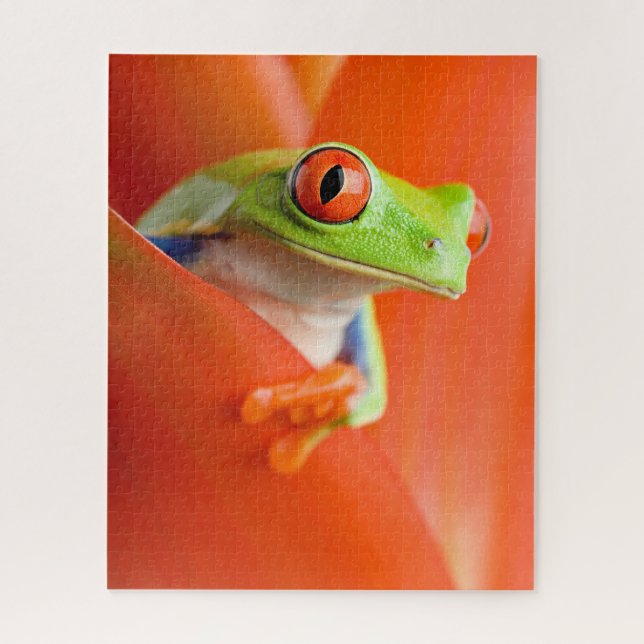 Roter mit Augen Baum Frog Nah-up, Puzzle Jigsaw (Vertikal)