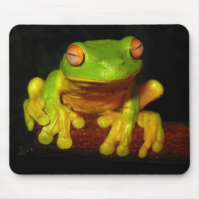 Roter mit Augen Baum-Frosch Mousepad (Vorne)