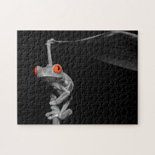 Roter Mit Augen Baumfrosch