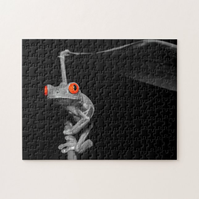 Roter Mit Augen Baumfrosch (Horizontal)