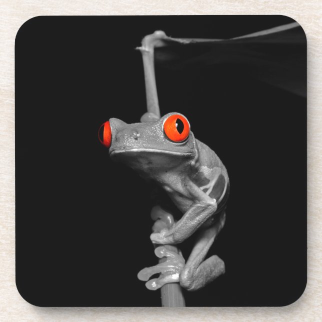Roter Mit Augen Baumfrosch Getränkeuntersetzer (Vorderseite)
