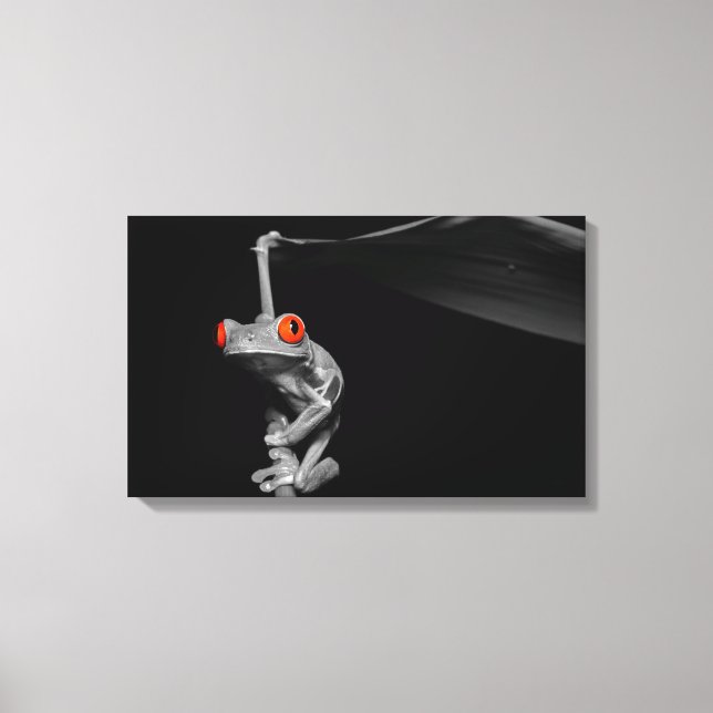 Roter Mit Augen Baumfrosch Leinwanddruck (Vorderseite)