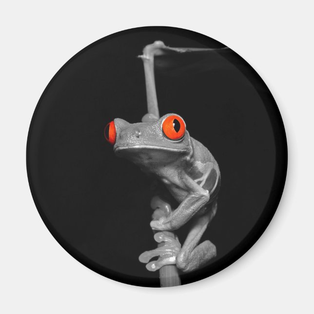 Roter Mit Augen Baumfrosch Magnet (Vorne)
