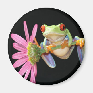 Roter mit Augen Baumfrosch Magnet