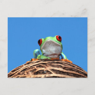 Roter mit Augen Baumfrosch Postkarte