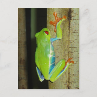 Roter mit Augen Baumfrosch Postkarte